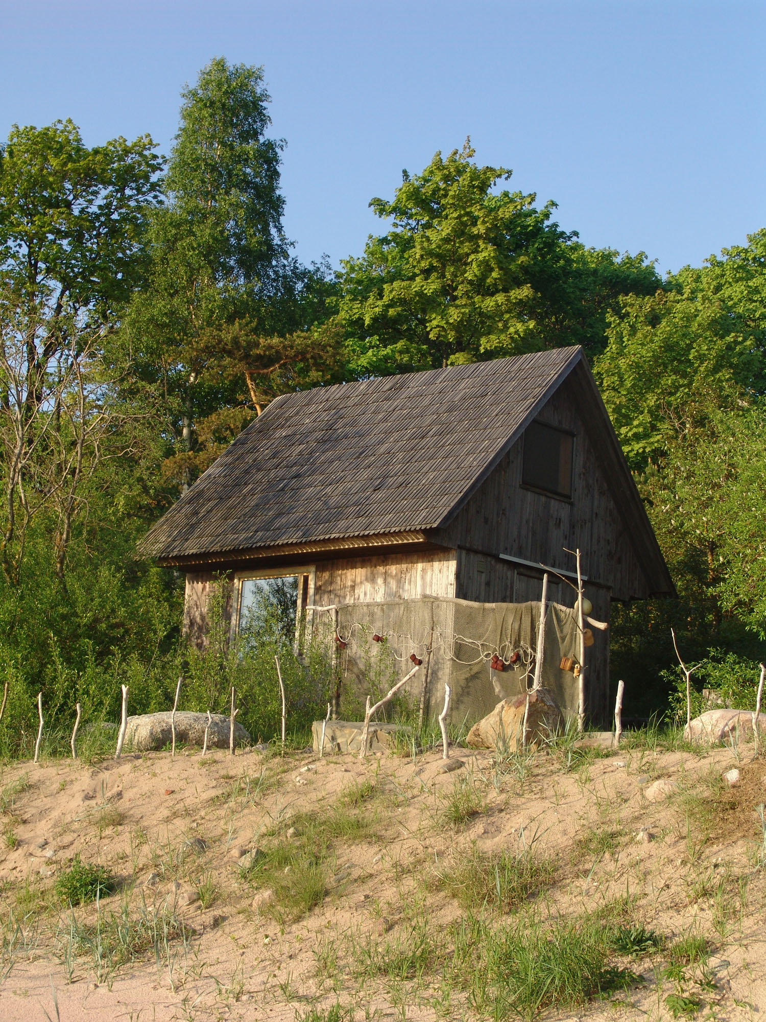 Dunte 1+.jpg